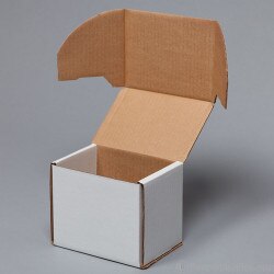 Corrugated cardboard mailer for 10